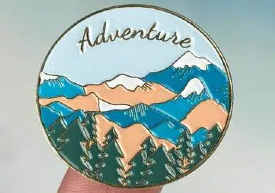 What are Custom Pins?