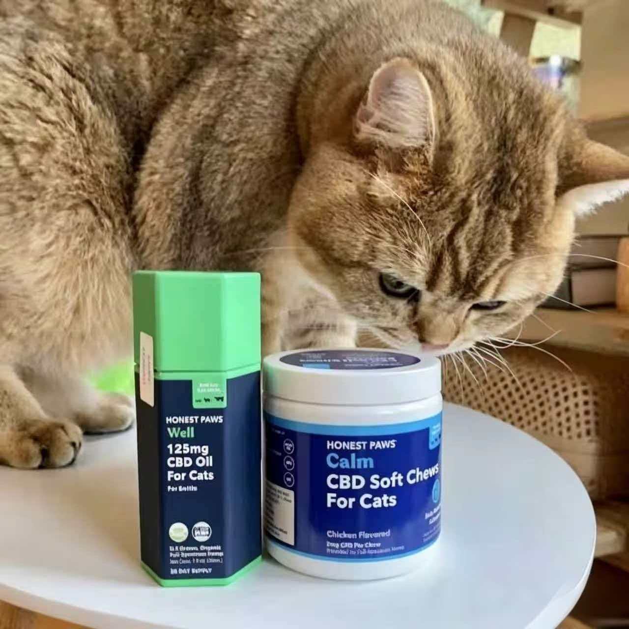 Custom Pet Product Labels