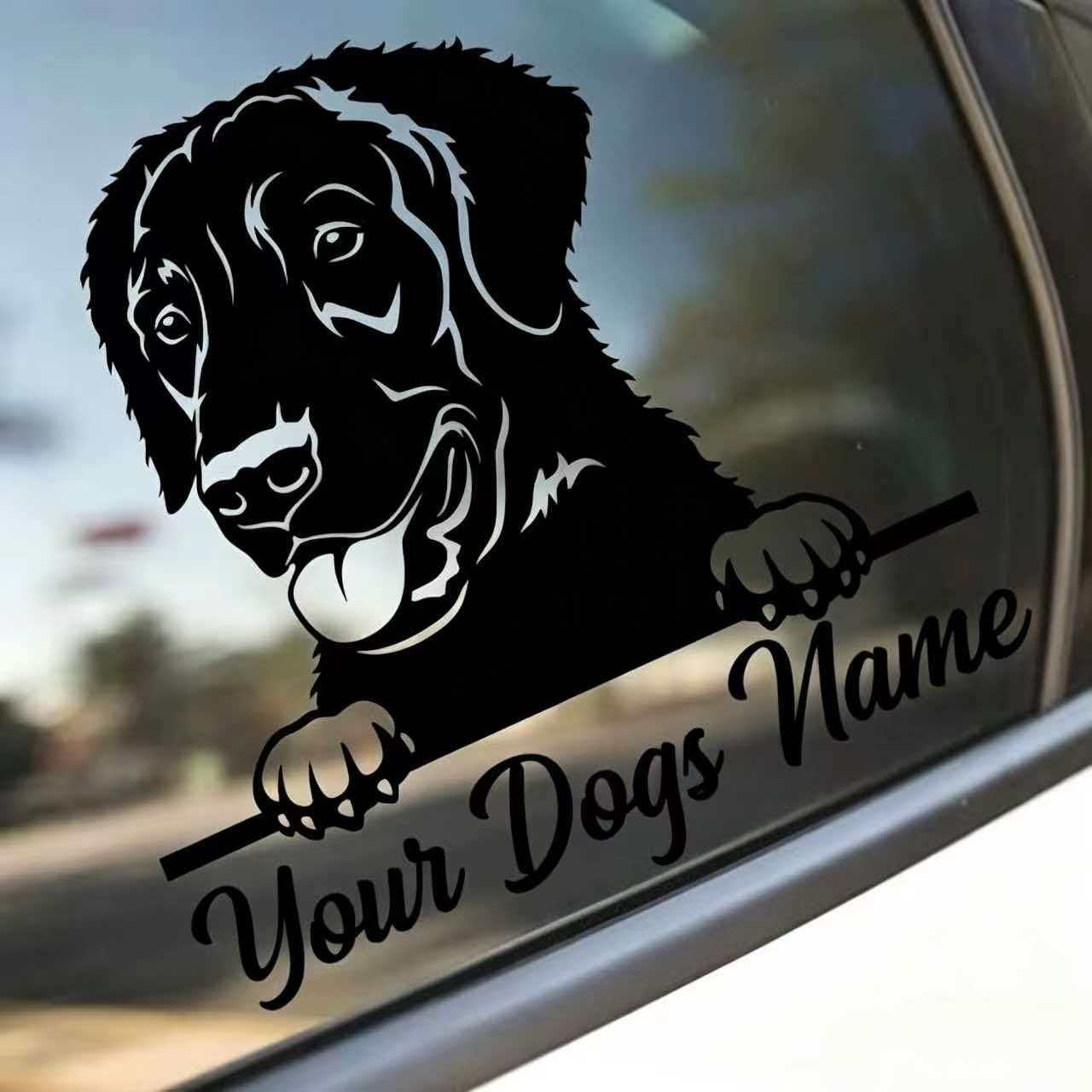 Custom Automotive PET Labels